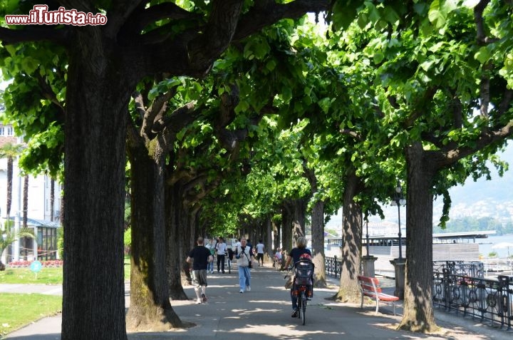 Immagine Lugano passeggiata lungo il lago