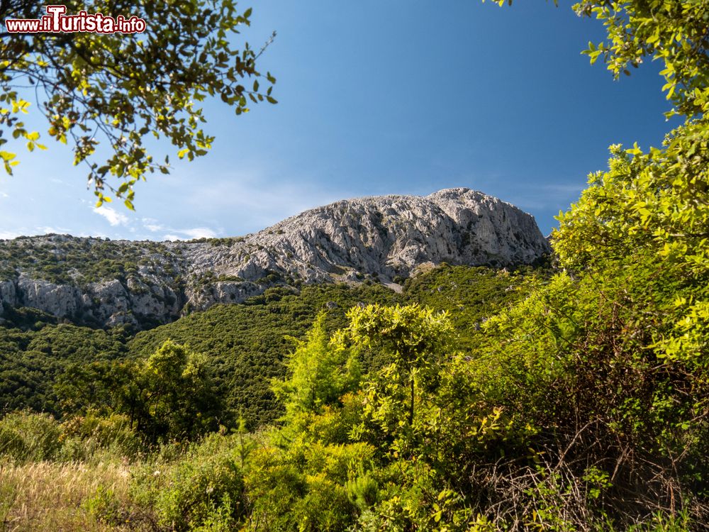 Immagine Lula si trova vicino al grande Monte Albo, un riferimento della costa orientale della Sardegna