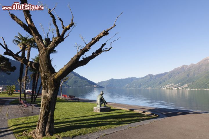 Immagine Lungolago di Ascona, Svizzera. Situata a 196 metri sul livello del mare, sulla riva settentrionale del Lago Maggiore, Ascona è famosa per il suo centro storico, il clima mite e il lungolago dal sapore mediterraneo - © IGOR ROGOZHNIKOV / Shutterstock.com