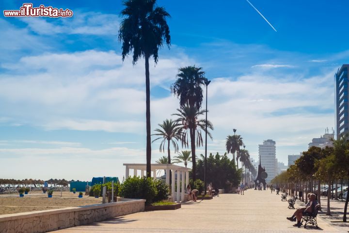 Immagine Lungomare alberato sulla spiaggia mediterranea di Fuengirola, Andalusia, Spagna - © k009034 / Shutterstock.com