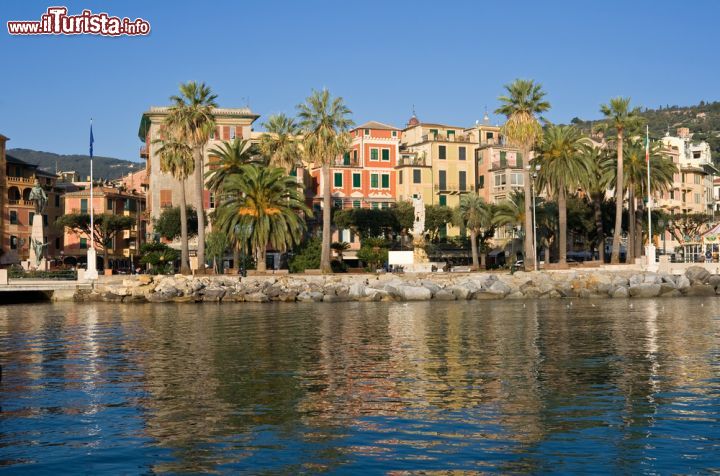 Immagine Il lungomare adornato di palme a Santa Margherita Ligure - © Antonio S / Shutterstock.com