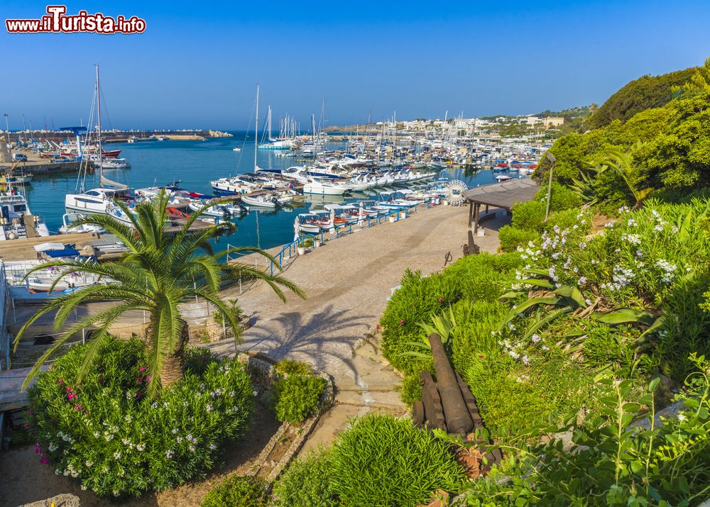 Immagine Lungomare di Santa Maria di Leuca, Salento, Puglia. Il territorio di Santa Maria di Leuca appartiene prevalentemente alla città di Castrignano del Capo e in piccola parte a quello di Gagliano del Capo.