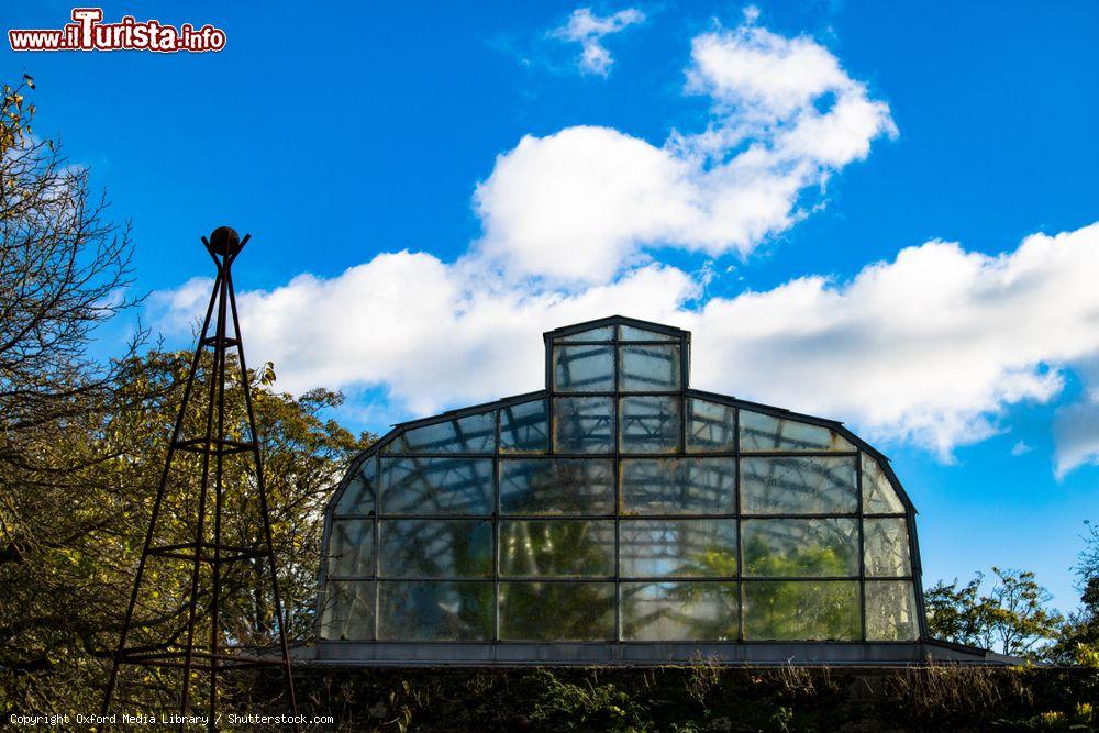 Immagine L'Università del Giardino Botanico di Oxford, Inghilterra (UK). Si tratta del più antico orto botanico della Gran Bretagna: fu fondato nel 1621 nei terreni del Magdalen College - © Oxford Media Library / Shutterstock.com