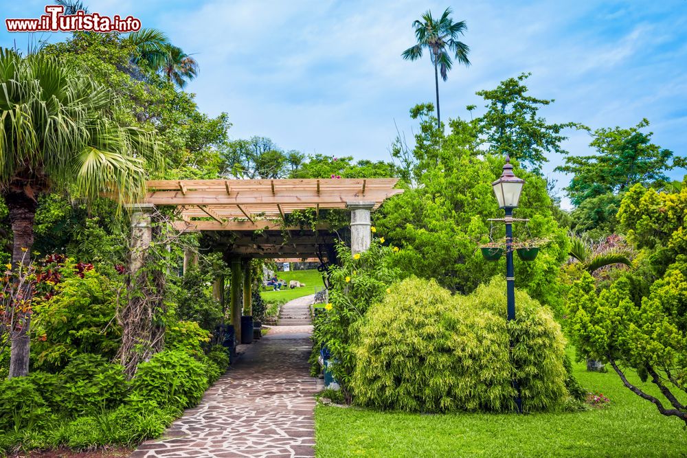 Immagine La lussureggiante vegetazione lungo una passeggiata a Queens Park, Hamilton, isola di Bermuda.