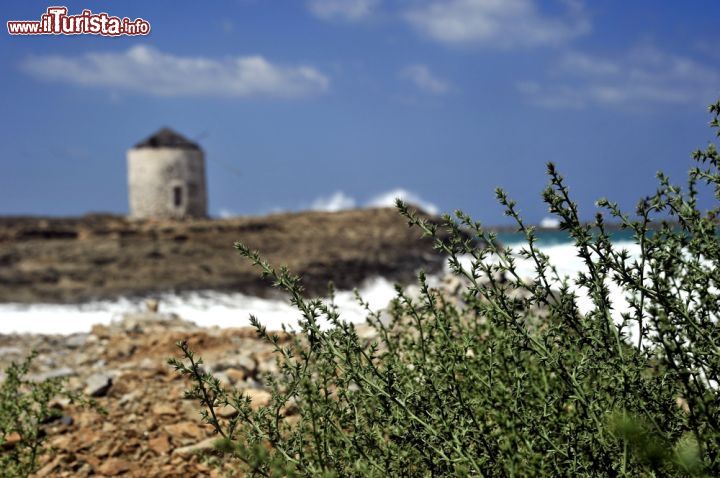 Immagine Il mare di Kassos (Grecia) che splende con la sua macchia mediterranea - Solitamente accade che in molte località turistiche e soprattutto di carattere estivo, quando c'è il mare non c'è la montagna, quando c'è natura non c'è il divertimento, quando c'è l'area bimbi non c'è la movida. A Kassos c'è tutto, con tanto di macchia mediterranea. Stupenda quando si eleva al passare del vento nei sentieri che conducono alle sue tipiche coste; accogliente quando, con il tramonto, si mette in disparte; meravigliosa di notte quando sembra far compagnia alle stelle e mirabile per tutti gli escursionisti che si addentrano nella parte più interna del territorio per conoscerla meglio - © Antlio / Shutterstock.com