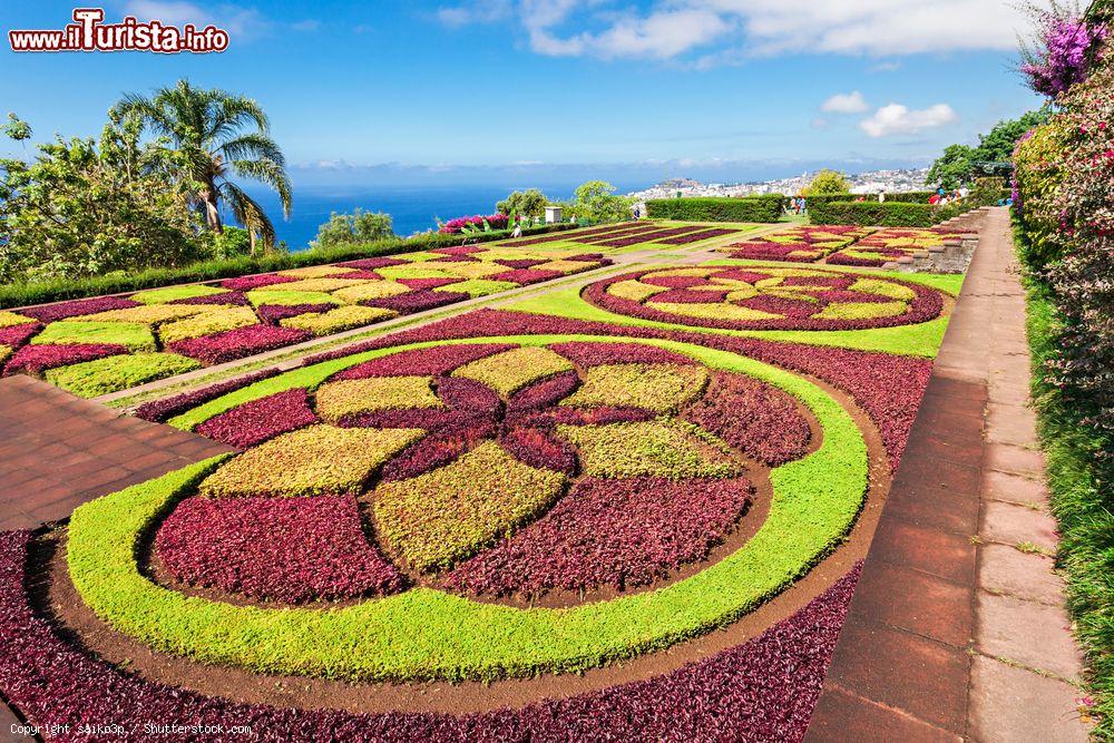 Immagine Madeira: il Giardino Botanico di Funchal fu creato nel 1881, ma è dal 1960 che si trova nel luogo attuale - foto © saiko3p / Shutterstock.com