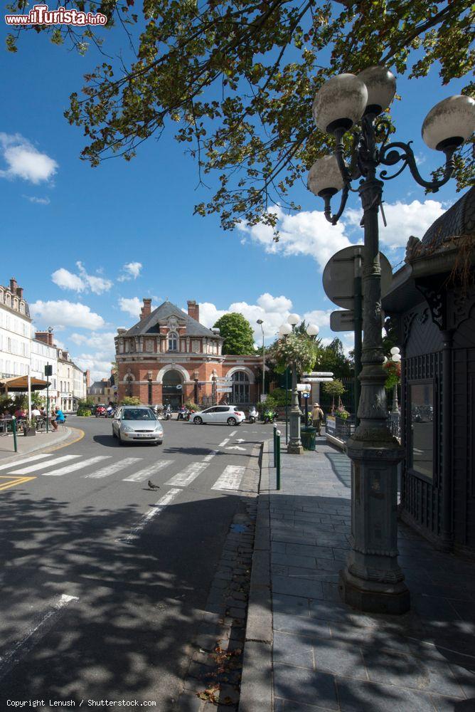 Immagine Magenta Avenue a Fontainebleau nei pressi del castello (Francia) - © Lenush / Shutterstock.com