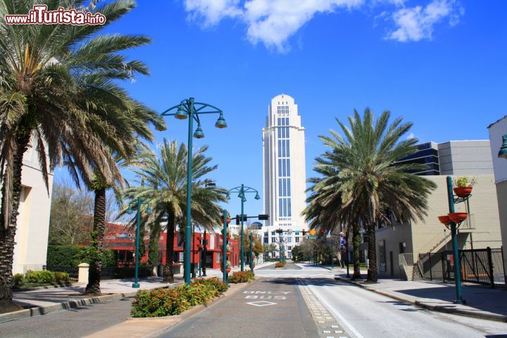 Immagine Magnolia Avenue a Orlando, Florida - Scorcio panoramico su Magnolia Avenue, bel viale alberato con palme, su cui si erge un imponente edificio postmoderno © Carl Stewart / Shutterstock.com