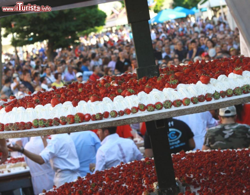 Sagra della Fragola Maletto