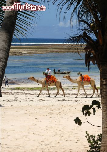 Immagine Malindi beach, Kenya: Malindi è un luogo ideale come punto di partenza per le escursioni sulla costa o verso l'interno del paese - foto © Vanda Biffani