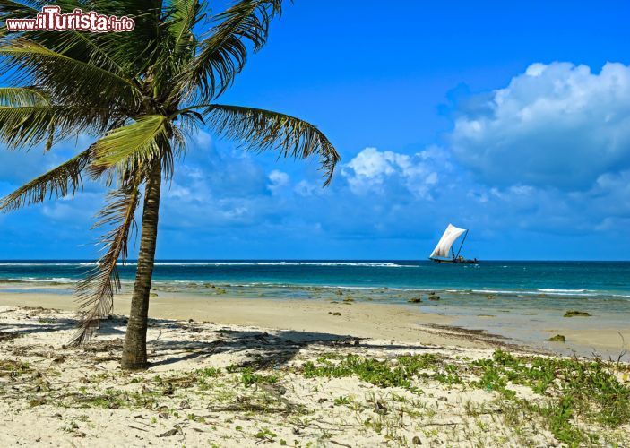 Immagine La costa indiana del Kenya a Diani Beach - Diani Beach, splendida località nell'estremo sud del Kenya, quasi al confine con la Tanzania, si affaccia sul meraviglioso mare dell'oceano indiano. Venticinque chilometri di costa caratterizzati da palmeti, natura tropicale e spiagge bianche, sotto il sole dell'Africa.- © Eduard Kyslynskyy / Shutterstock.com