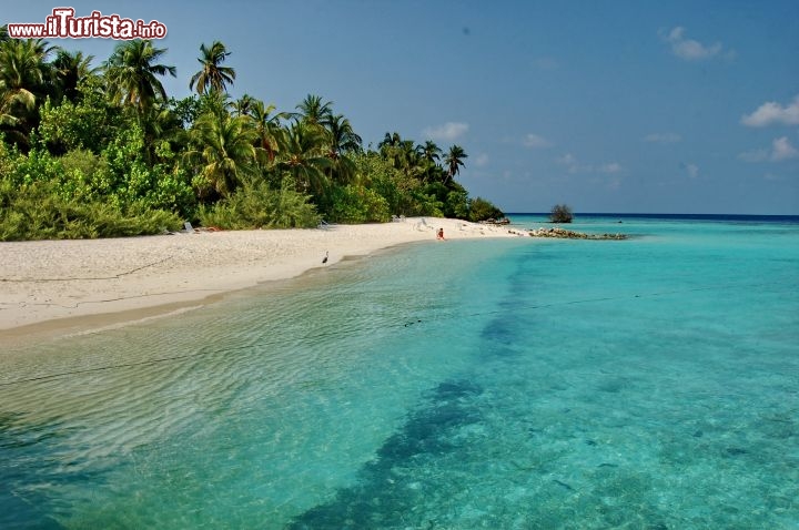 Immagine Il mare turchese di Asdu, una piccola isola dell'atollo di Malé Nord, Maldive.