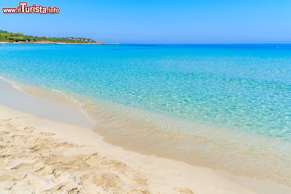 Immagine Mare azzurro a Saleccia vicino a Saint Florent, Corsica, Francia. Sabbia quasi bianca e acque dai fondali cristallini per questa località della Corsica che ha spiagge che non hanno nulla da invidiare a quelle caraibiche.