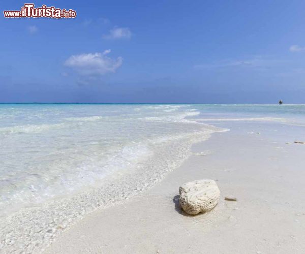 Immagine Il mare cristallino dell'atollo di Lhaviyani (Faadhippolhu), Maldive. Anche qui esistono diversi siti particolarmente interessanti per le immersioni e lo snorkelling - foto © Shutterstock.com