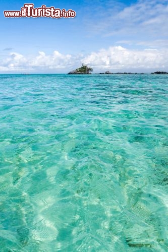 Immagine Il mare limpido del Madagascar: la laguna di Île Sainte-Marie (Nosy Boraha) è ideale per fare snorkeling, alla scoperta dei magnifici foadali dell'Oceano Indiano - © Pierre-Yves Babelon / Shutterstock.com