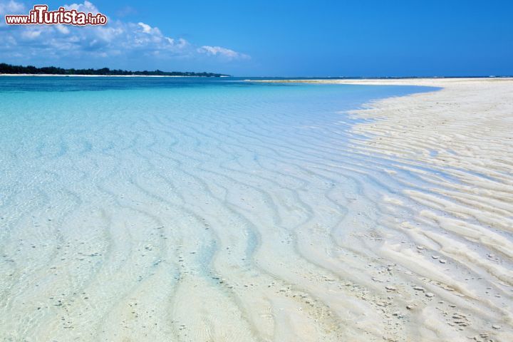 Immagine Il mare cristallino del Kenya, a Diani Beach - mare cristallino di uno splendido turchese e spiagge di sabbia bianca finissima: questo è chò che offre l'oceano indiano qui a Diani Beach, amatissima località balneare nell'estremo sud del Kenya a pochi chilometri da Mombasa. - © Fruzsi-Gergo / Shutterstock.com