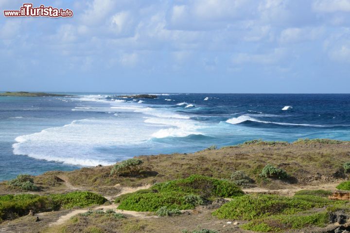 Immagine Mare mosso nella regione di Mahebourg, Mauritius - Un'immagine pittoresca del panorama di cui si può godere da Mahebourg, località turistica dell'isola di Mauritius celebre per le sue spiagge e per i paesaggi © Pack-Shot / Shutterstock.com