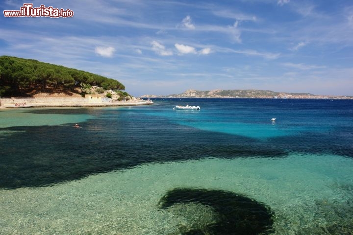 Immagine Un mare trasparentissimo al largo di Palau, in Gallura, nel nord della Sardegna. Qui, come nel vicino arcipelago della Maddalena, l'acqua limpida lascia scorgere il fondale e i suoi pesci, e fa la gioia di chi ama lo snorkeling e le nuotate rigeneranti - © Mildax / Shutterstock.com