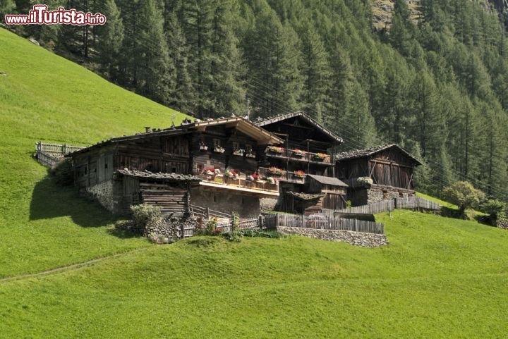 Immagine Un tipico maso trentino in Val Venosta. Questa abitazione rurale, chiamata anche "bauernhof"  in tedesco, è costituita da un fienile, una stalla e una stanza adibita alla cottura dei cibi e alla preparazione dei formaggi. Il materiale di costruzione varia in base alla dislocazione geografica: prevalentemente legno nelle valli ricche di foreste; legno e muratura invece dove l'utilizzo di pietra e calce non era così difficoltoso - © fritz16 / Shutterstock.com