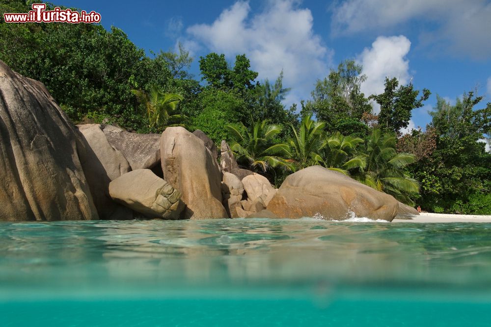 Immagine Massi di granito sull'isola di Anse Lazioa a Praslin, isole Seychelles