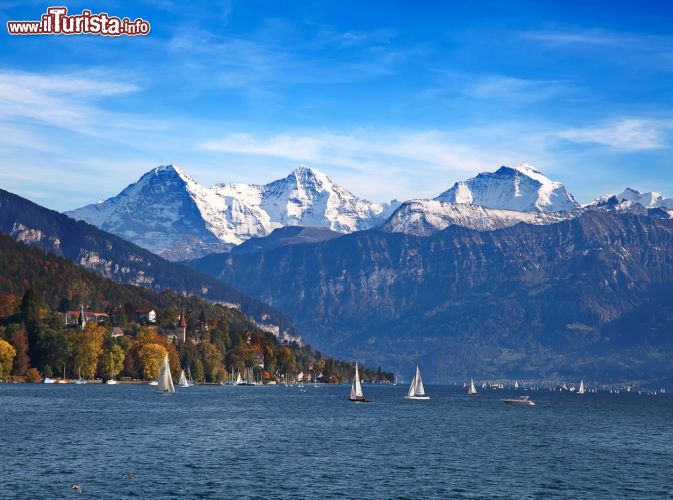 Immagine Il massiccio dello Jungfrau fotografato dal Lago di Thun a Oberhofen in Svizzera - © Fedor Selivanov / Shutterstock.com