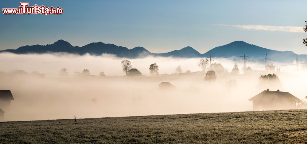 Immagine Mattinata nebbiosa sulla brughiera di Murnau am Staffelsee, Germania.