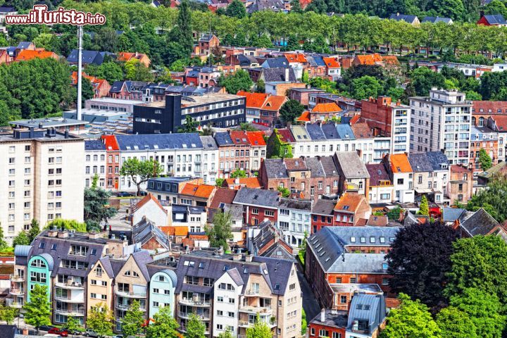 Immagine Mechelen, Belgio, vista dall'alto con le sue case dai tetti colorati - © 150247013 / Shutterstock.com