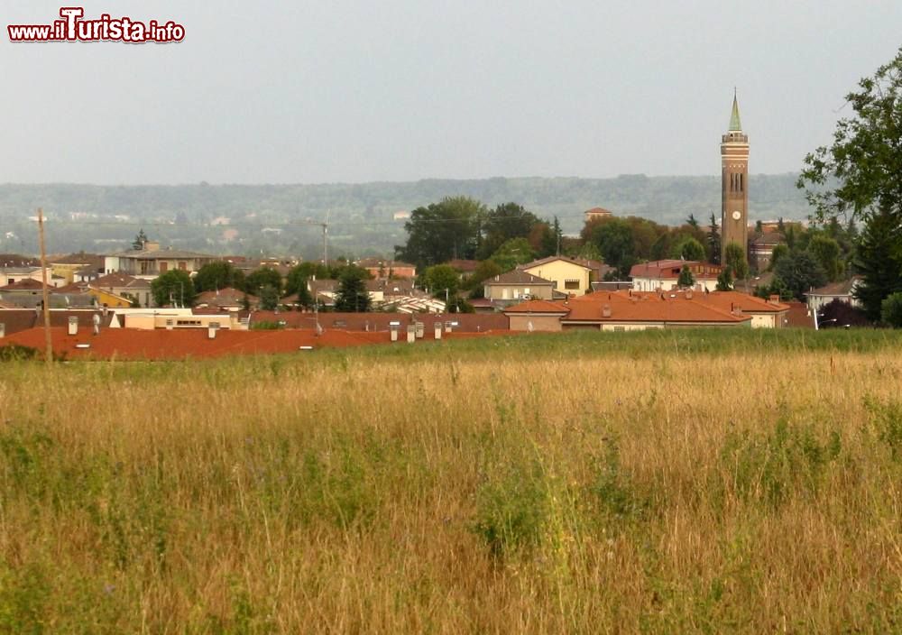 Le foto di cosa vedere e visitare a Medesano