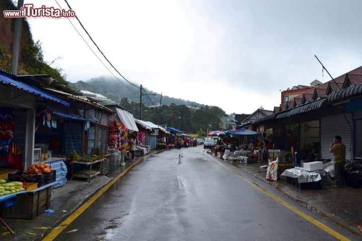 Immagine Mercato, Cameron Highlands: lungo la strada che conduce alle Cameron Highlands si incontrano mercati frequentati dalla gente del luogo, dove è possibile comprare frutta e verdura prodotta nella regione.