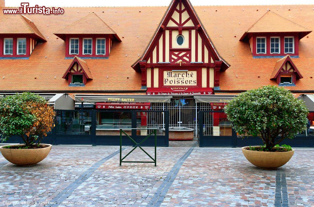 Immagine Lo storico Mercato del Pesce (Marché aux Poissons) di Trouville-sur-Mer è stato ricostruito dopo che un incendio l'aveva danneggiato nel 2006 - © LIUDMILA ERMOLENKO / Shutterstock.com