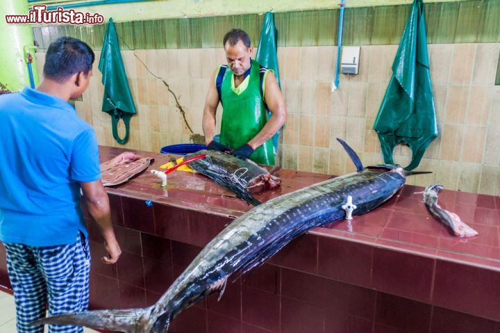 Immagine Alcuni pesci spada in vendita presso il mercato del pesce di Malé, la piccola capiale delle Maldive - foto © Matyas Rehak / Shutterstock.com