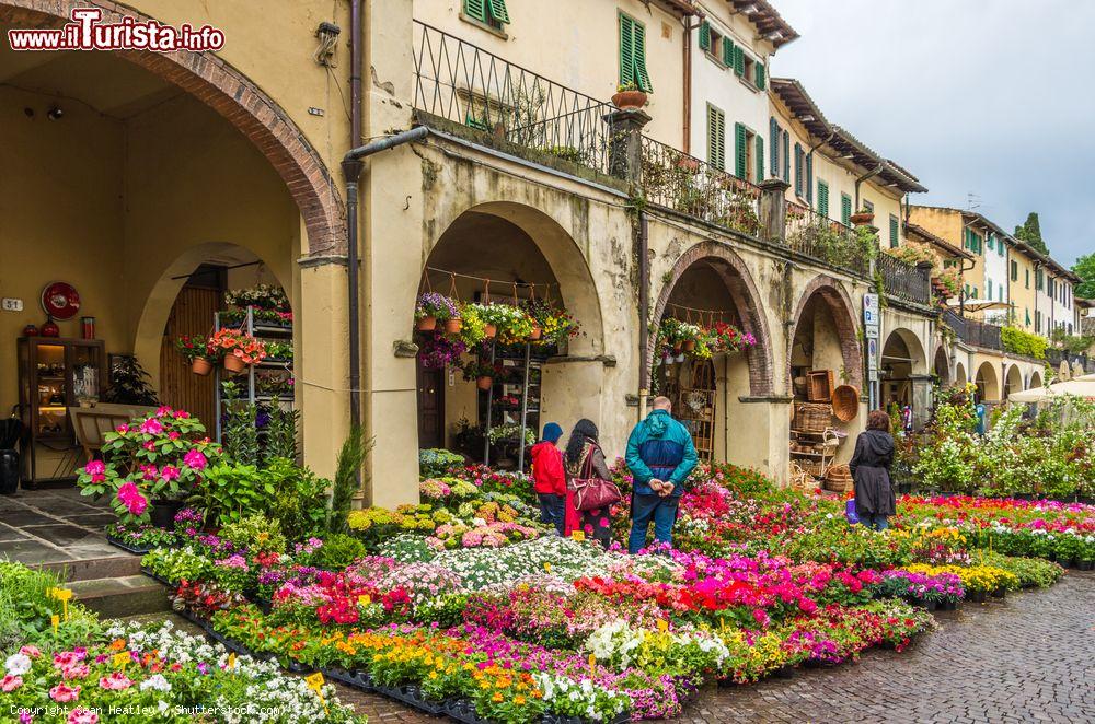 Immagine Mercato di fiori e piante lungo le vie del centro storico di Greve in Chianti, Toscana - © Sean Heatley / Shutterstock.com