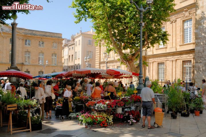 Immagine Mercato in piazza ad Aix-en-Provence, Francia - E' una delle attrazioni più suggestive da vedere e fotografare in questa cittadina provenzale: il mercato di frutta e verdure, colmo di tutti i sapori e gli aromi della Provenza, si tiene tutti i giorni in Place Richelme mentre quello dei fiori si svolge il martedì, giovedì e sabato in Place de l'Hotel de Ville © Philip Lange / Shutterstock.com