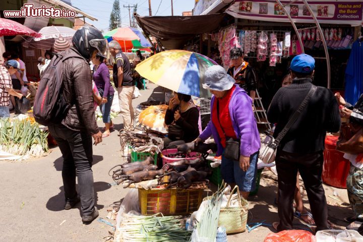 Immagine Al mercato settimanale di Tomohon si vendono animali di ogni specie, compresi i cani, che fanno parte della cucina tradizionale di alcune etnie dell'isola di Sulawesi - foto © Artush / Shutterstock.com