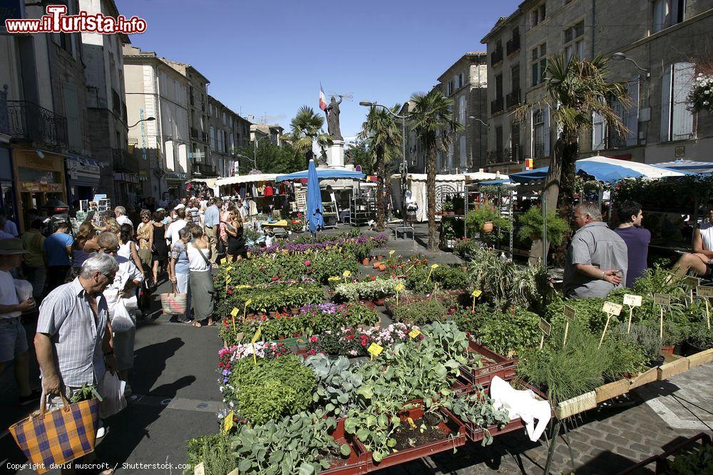 Immagine Mercato tradizionale nel centro di Pezenas, Francia, in una giornata di sole in tarda primavera - © david muscroft / Shutterstock.com