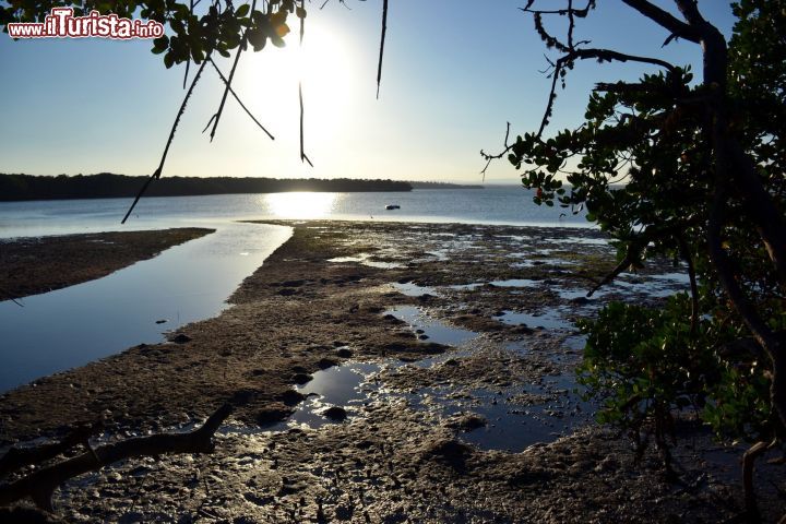 Immagine Crab Shack, Dabaso: la vista sulla baia di Mida Creek dal ristorante "Crab Shack", caratterizzato da una gestione comunitaria degli abitanti del villaggio di Dabaso, nei pressi di Watamu (Kenya).