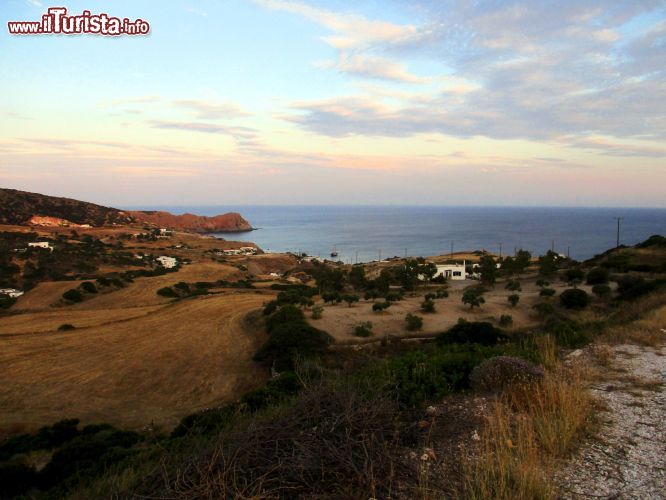 Immagine Milos, Grecia: tranne in pochi punti dell'isola, a Milos a volte è quasi impossibile trovare un albero. A dominare il paesaggio è la macchia mediterranea, fatta di piccoli arbusti.