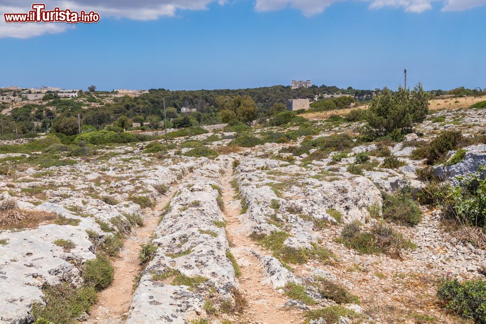Immagine Misteriosi solchi di un carro antico a Misrah Ghar il-Kbir aka Clapham Junction, Siggiewi, Malta. Si tratta di un sito preistorico nei pressi delle scogliere Dingli.
