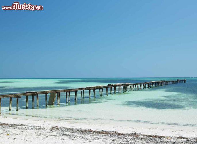 Immagine Molo sulla spiaggia di Santa Lucia nella provincia di Camaguey, Cuba - Per osservare più da vicino le acque di questo arcipelago dei Caraibi si può passeggiare su uno dei moli che si incontrano lungo i 21 km della spiaggia di Santa Lucia © PHB.cz (Richard Semik) / Shutterstock.com