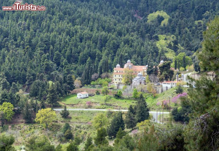 Immagine Vista dall'alto del Monastero di San Davide a Eubea, Grecia - Una bella immagine che ritrae l'imponente complesso religioso situato nei pressi di questa bella città greca immersa nella natura © Lefteris Papaulakis  / Shutterstock.com