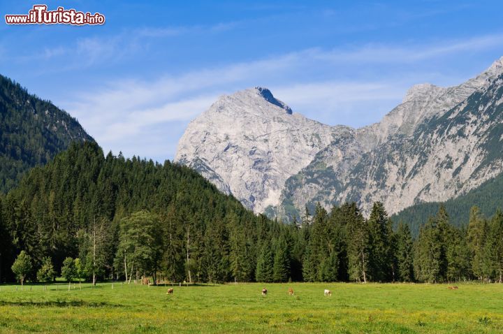 Immagine Montagne nei dintorni di Pertisau, Austria - Splendido panorama sui monti che circondano la cittadina di Pertisau: il paese confina anche con la zona della riserva naturale del Parco Alpino Karwendel con stupendi sentieri escursionistici, vie ferrate e una natura ancora incontaminata © dinkaspell / Shutterstock.com