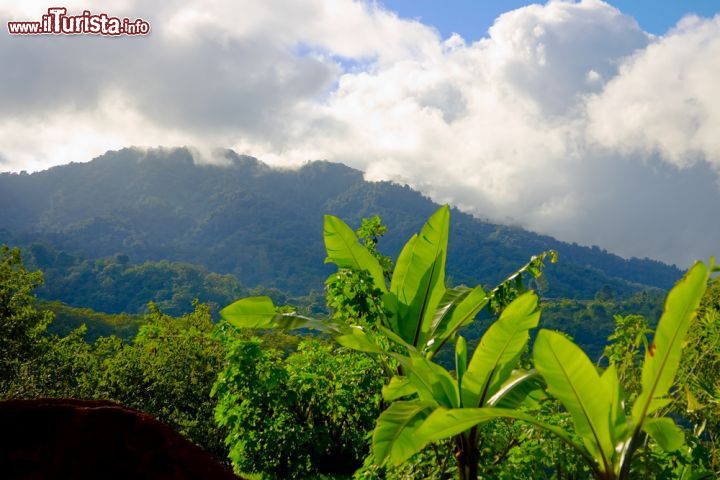 Immagine Panorama delle montagne nei pressi di San José, Costa Rica. Vegetazione ricca e rigogliosa per i dintorni della capitale che sorge su un fertile altopiano con lievi ondulazioni - © Action Sports Photography / Shutterstock.com