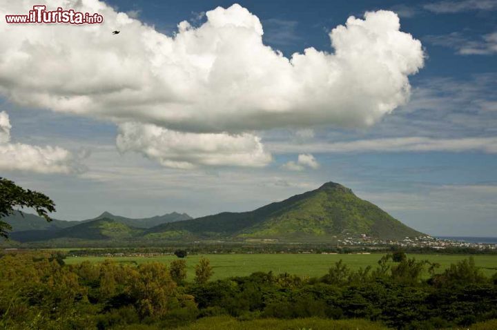 Immagine Montagne tra Riviere Noire e Tamarin Isola di Mauritius - © bengy / Shutterstock.com