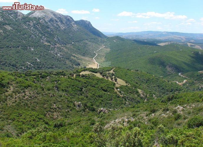 Immagine Il Monte Albo, il massiccio calcareo fotografato da Lula, costa orientale della Sardegna