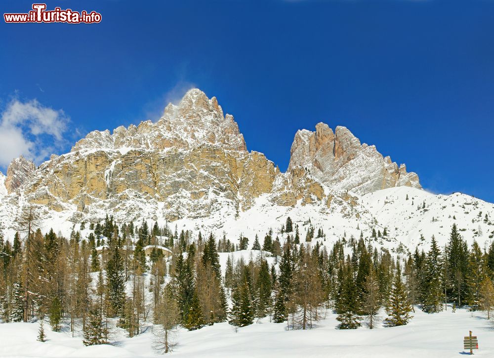 Immagine Monte Cristallo (3221 m) visto dal Passo Tre Croci, Dolomiti, Cortina d'Ampezzo (Veneto). Questo massiccio montuoso in provincia di Belluno fu conquistato per la prima volta dall'alpinista viennese Paul Grohamann con le guide alpine di Cortina d'Ampezzo Santo Siorpaes e Angelo Dimai.