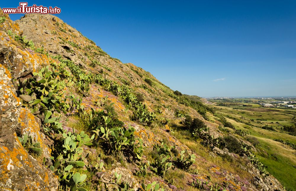 Immagine Monte Zara, si trova vicino a Monastir e domina la piana del Campidano in Sardegna