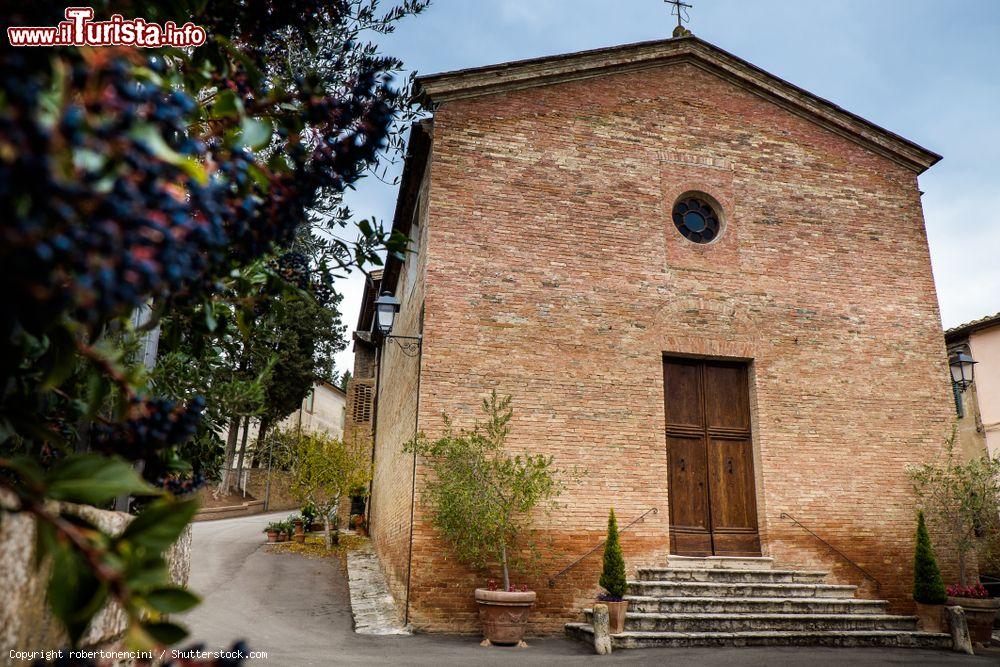 Immagine Monterongriffoli, Siena, Toscana: trekking autunnale da Buonconvento alla strada Cassia sino alla Via Francigena, Chiusure e abbazia di Monte Oliveto Maggiore - © robertonencini / Shutterstock.com