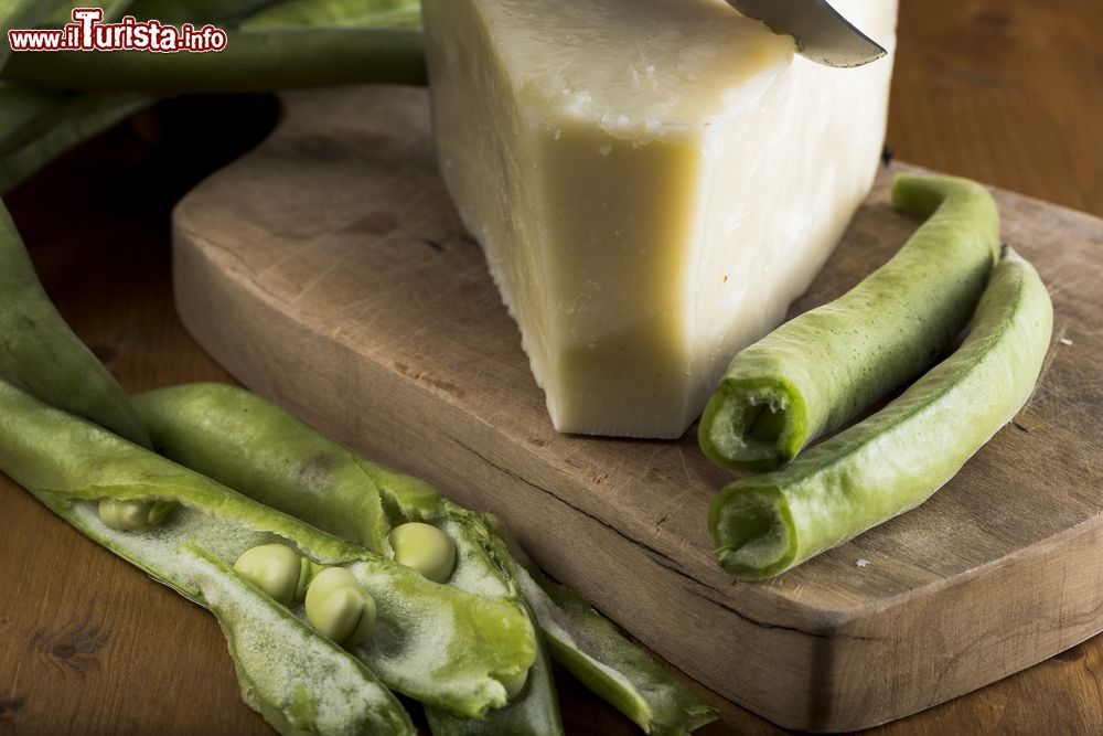 Immagine Pecorino e fave, due gustosi prodotti tipici della zona a nord di Roma, e che si possono gustare in primavera nei locali di Monterotondo