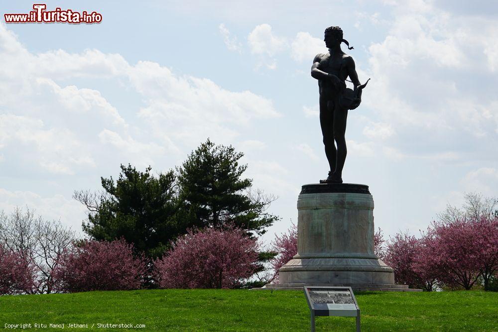 Immagine Monumento al Fort McHenry di Baltimora, Maryland. Nella guerra del 1812, divenne famoso per aver difeso il porto della città da un attacco della Royal Navy - © Ritu Manoj Jethani / Shutterstock.com