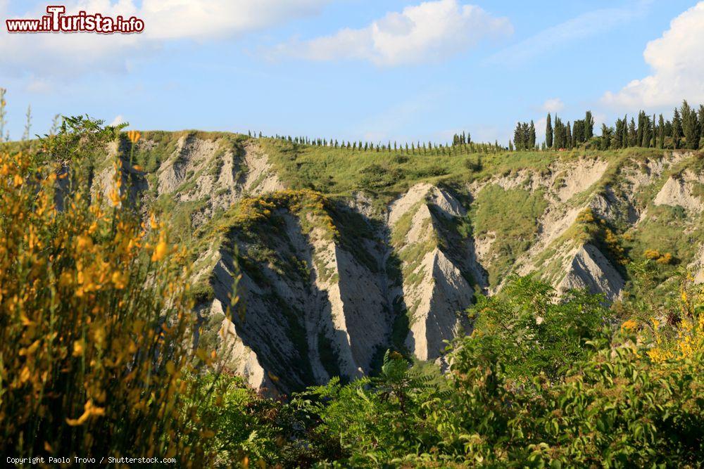 Immagine Morfologia del terreno nelle Crete senesi a Asciano, Toscana. Fra le tipiche conformazioni di questo territorio ci sono calanchi e biancane - © Paolo Trovo / Shutterstock.com